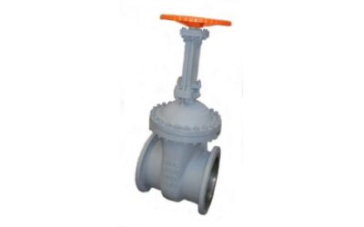 Cost effective carbon steel DIN-Gate Valves in various sizes